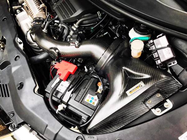 Armaspeed CARBON Air intake